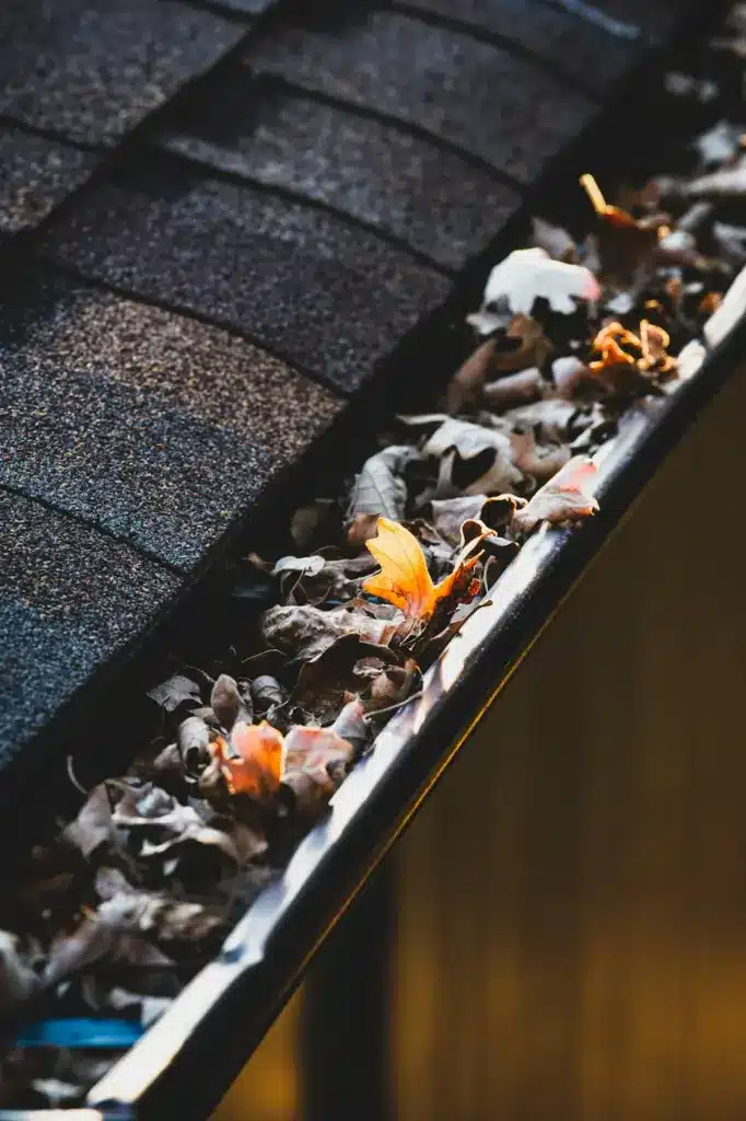 Close-up of a clogged gutter filled with decomposing leaves and debris alongside dark asphalt shingles.